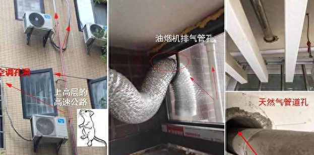 小餐饮店怎么防鼠怎么做，餐饮业老鼠防治的主要方法介绍